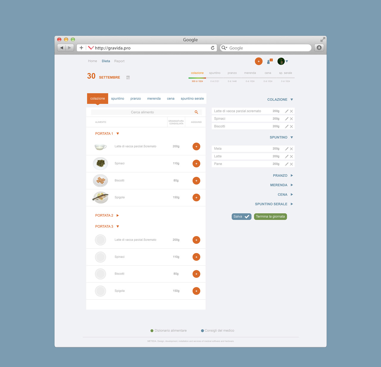 Gravida's project Web application interface design for MeTeDa
